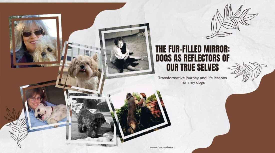 What I have learned from my dogs