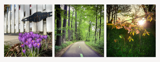 Learn about the powerful way of mindfulness through 5-minute meditation