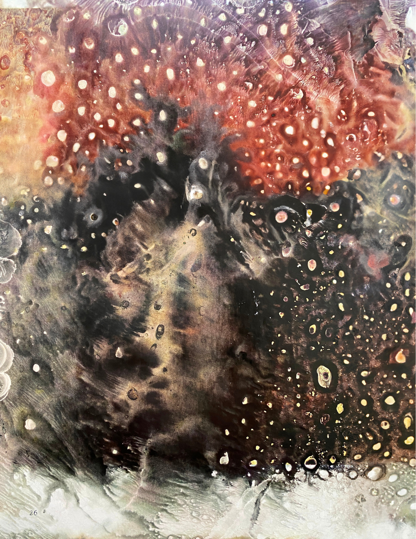 National Geographic + CitraSolv Digital Papers - Red Toned